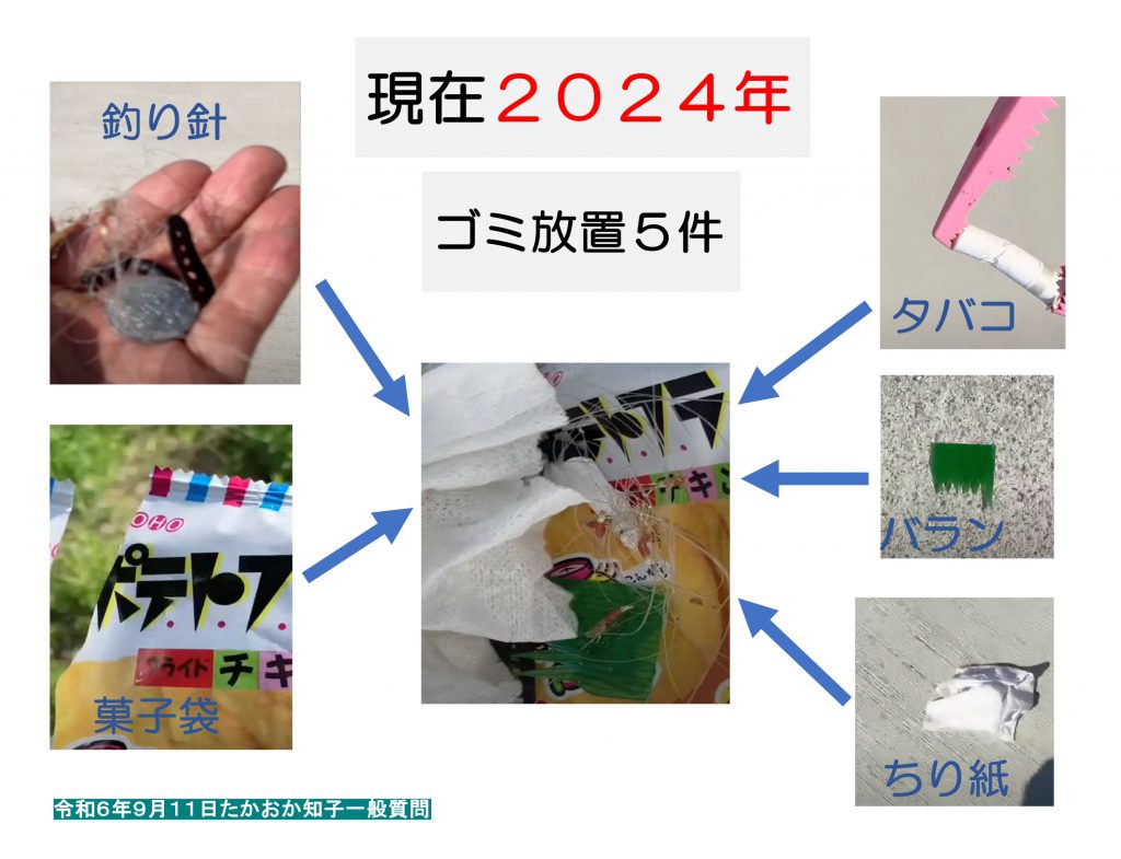 2024年9月一般質問モニター資料