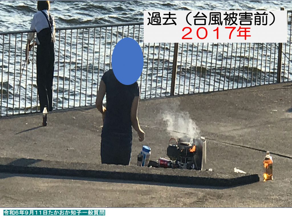 2024年9月一般質問モニター資料