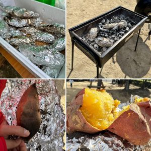 7F54C3D7-26FB-4C7C-B440-022AD75FC41C