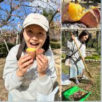 【こんなイベントに参加してきました】岩ヶ平公園で落ち葉拾いとやきいも（11月22日）